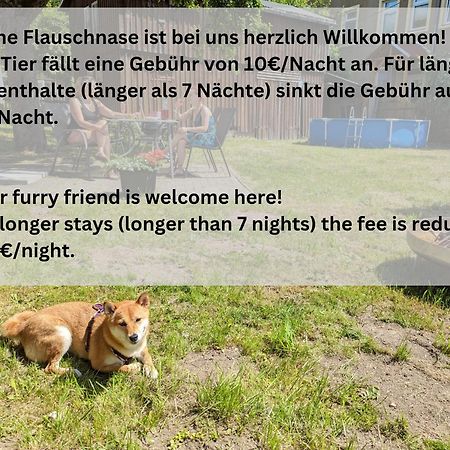 H1 - Urlaubsmagie - Pool & Terrasse Zum Entspannen 赛博尼茨 外观 照片