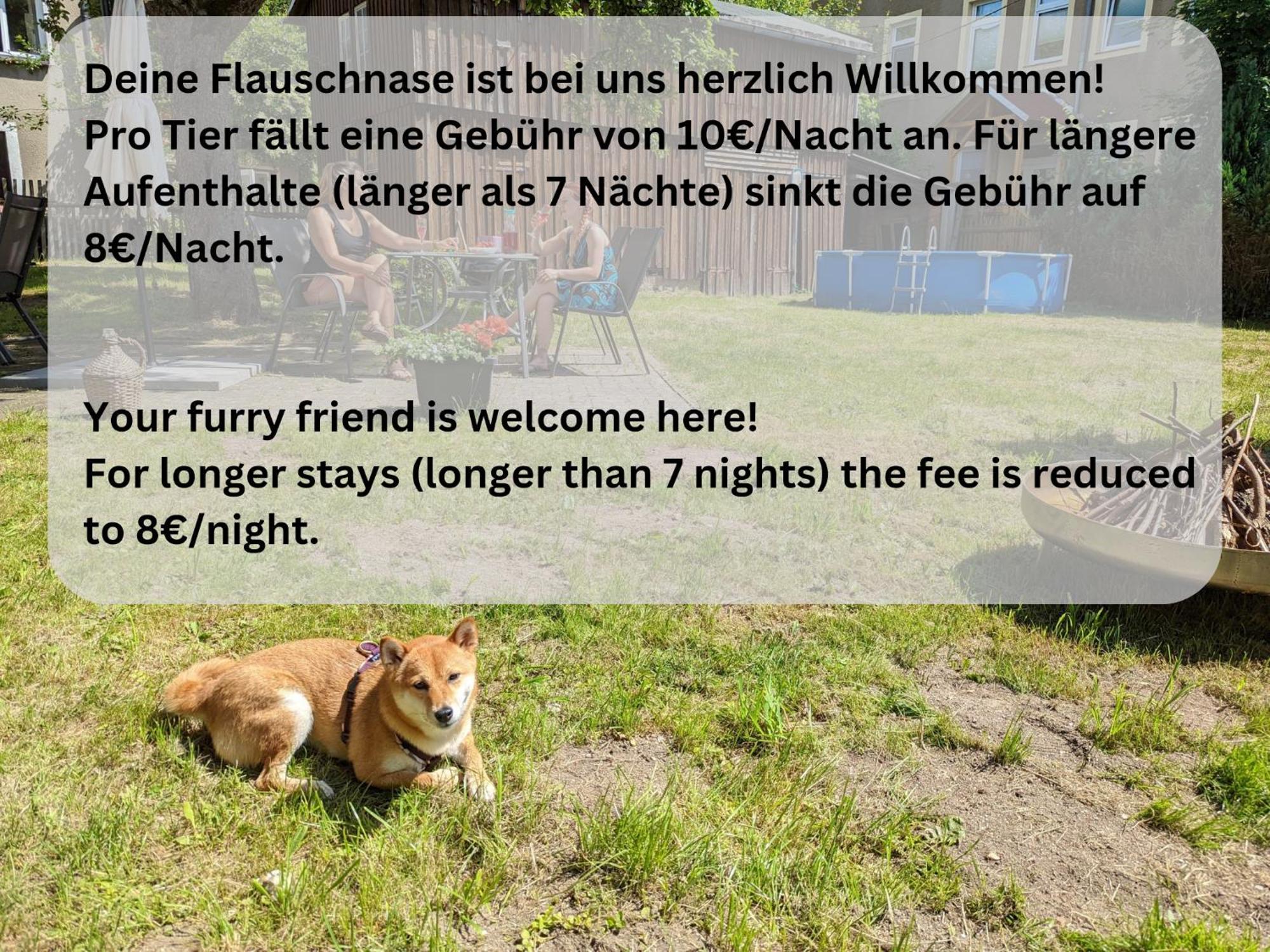 H1 - Urlaubsmagie - Pool & Terrasse Zum Entspannen 赛博尼茨 外观 照片